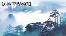 检测流程